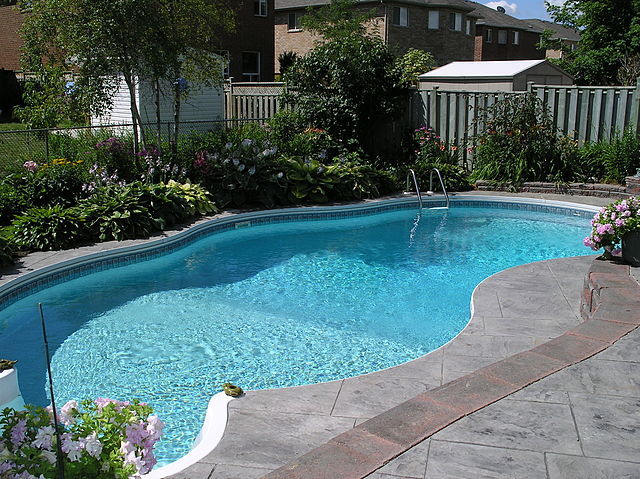 backyard pool